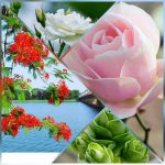 Dịch vụ mở công ty tại Yên Bái 6 Thành lập công ty trọn gói ở Yên Bái