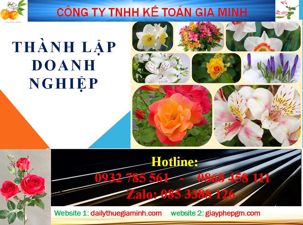 Dịch vụ thành lập doanh nghiệp tại Bến Tre 4 Thủ tục thành lập doanh nghiệp tại Bắc Ninh