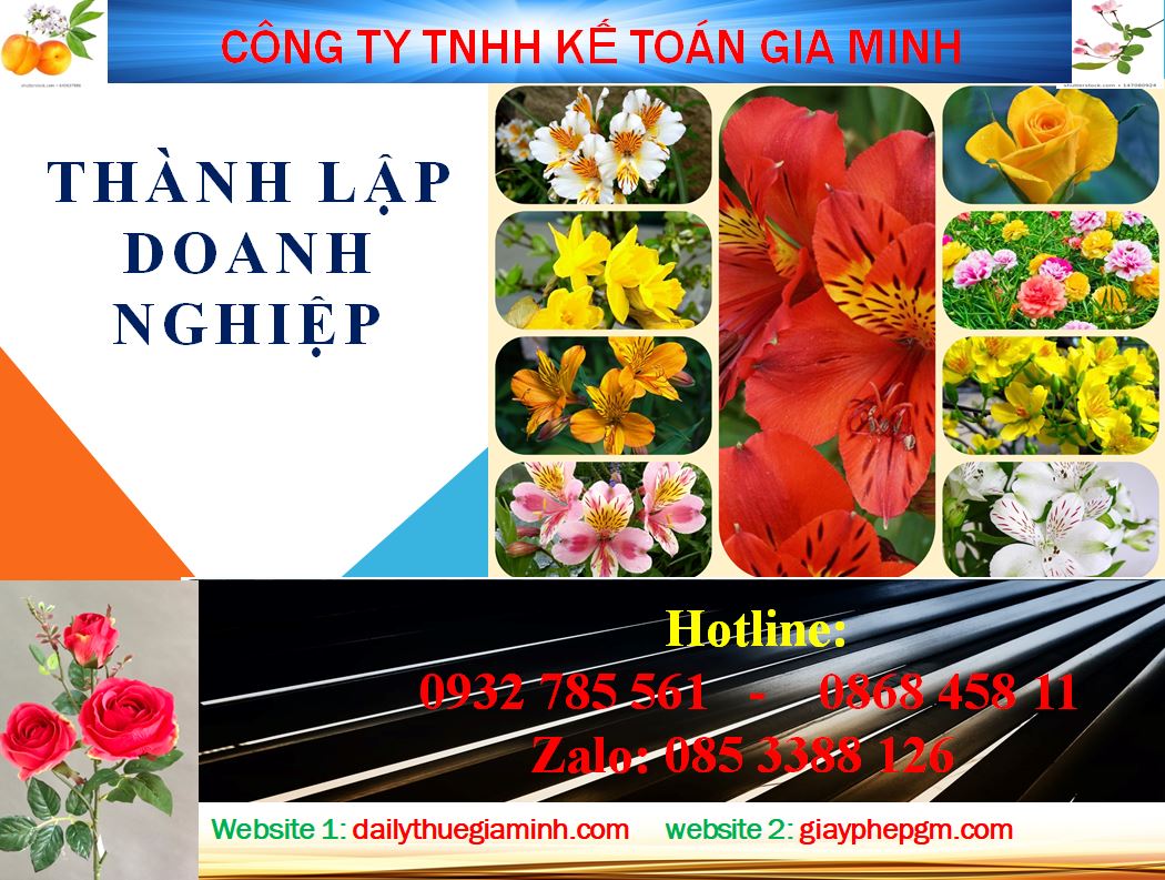 Thủ tục thành lập doanh nghiệp tại Quận 3