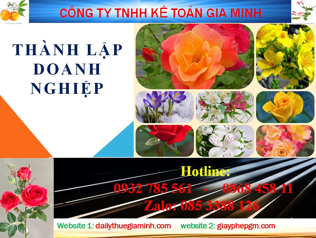 Dịch vụ thành lập doanh nghiệp tại Quận 8 4 Thủ tục thành lập doanh nghiệp tại Quận 8