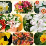 Dịch vụ thành lập doanh nghiệp tại Quận 12 6 Muốn thành lập doanh nghiệp tại Quận 12