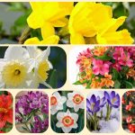 Dịch vụ thành lập doanh nghiệp tại Quận 7 6 Muốn thành lập doanh nghiệp tại Quận 7