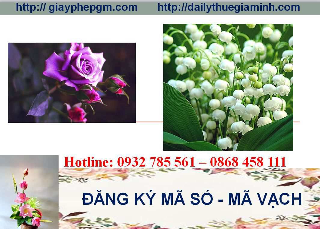 Đăng ký mã vạch tại An Giang 5 Thủ tục đăng ký mã vạch