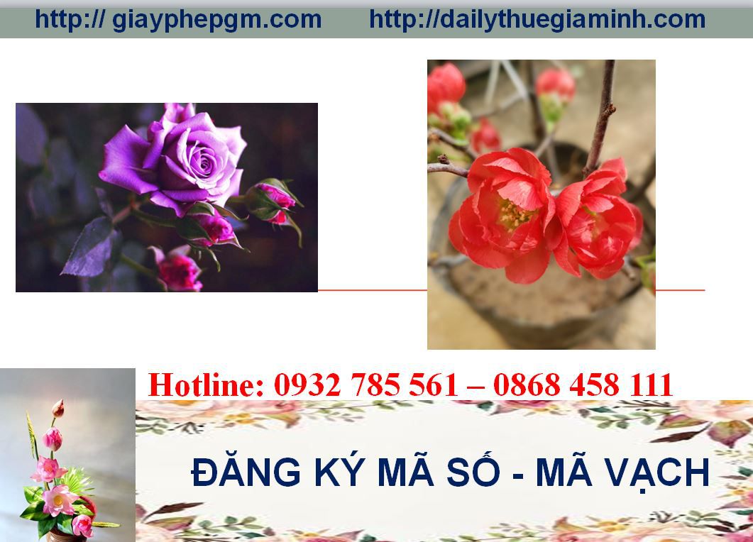Đăng ký mã vạch tại Bắc Giang 5 Thủ tục đăng ký mã vạch