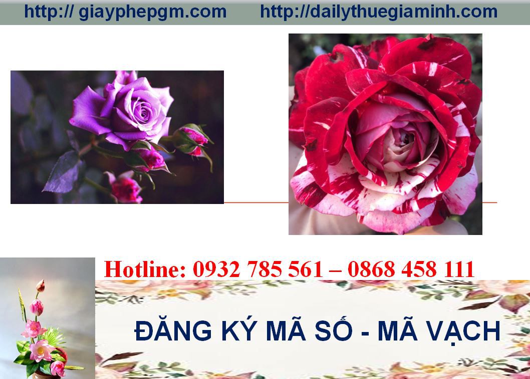Đăng ký mã vạch tại Bạc Liêu 5 Thủ tục đăng ký mã vạch