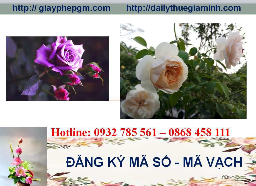 Đăng ký mã vạch tại Bắc Ninh 8 Thủ tục đăng ký mã vạch