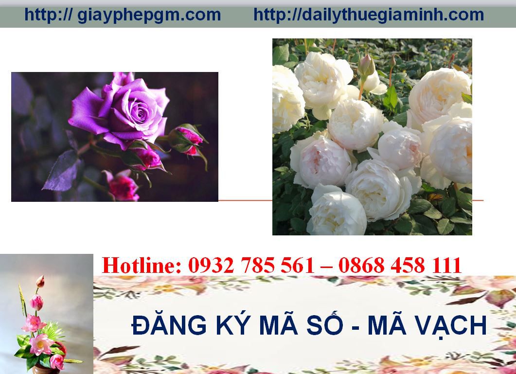 Đăng ký mã vạch tại Bình Định 5 Thủ tục đăng ký mã vạch