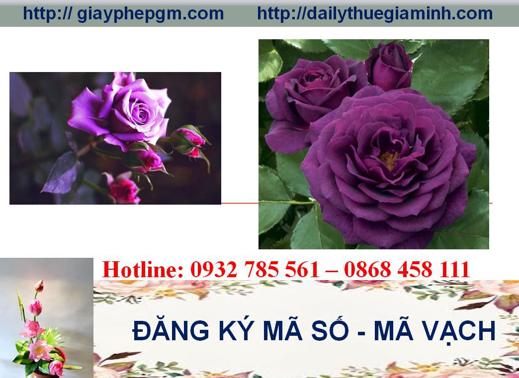 Đăng ký mã vạch tại Bình Dương 8 Thủ tục đăng ký mã vạch