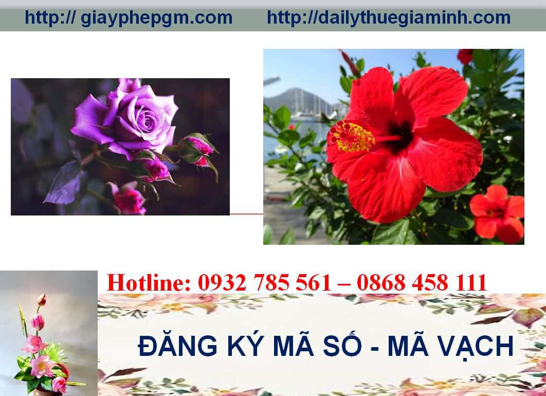 Đăng ký mã vạch tại Bình Phước 5 Thủ tục đăng ký mã vạch