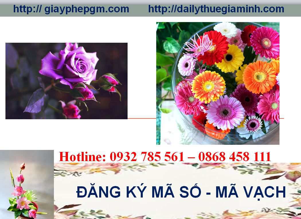 Đăng ký mã vạch tại Bình Thuận 5 Thủ tục đăng ký mã vạch