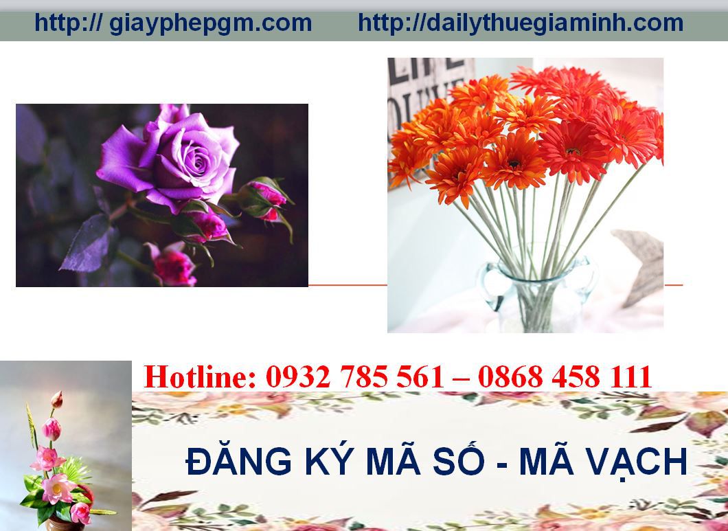 Đăng ký mã vạch tại Cà Mau 5 Thủ tục đăng ký mã vạch