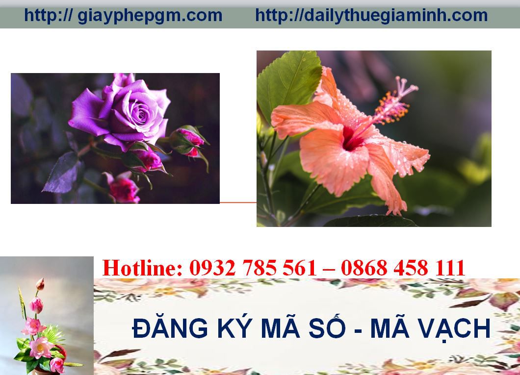 Đăng ký mã vạch tại Cần Thơ 8 Thủ tục đăng ký mã vạch