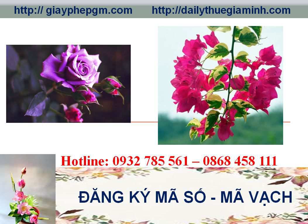 Đăng ký mã vạch tại Cao Bằng 5 Thủ tục đăng ký mã vạch Cao Bằng