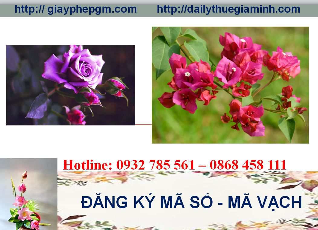 Đăng ký mã vạch tại Đắk Lắk 8 Thủ tục đăng ký mã vạch