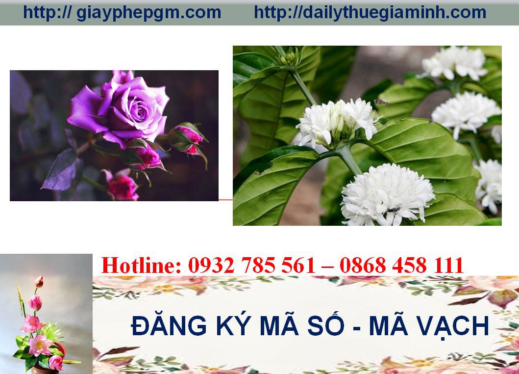 Thủ tục đăng ký mã vạch