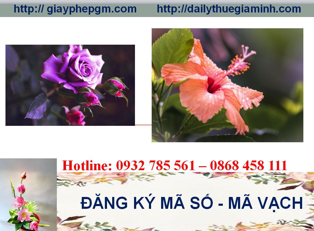 Thủ tục đăng ký mã vạch
