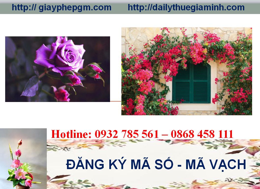 Đăng ký mã vạch tại Đồng Tháp 5 Thủ tục đăng ký mã vạch
