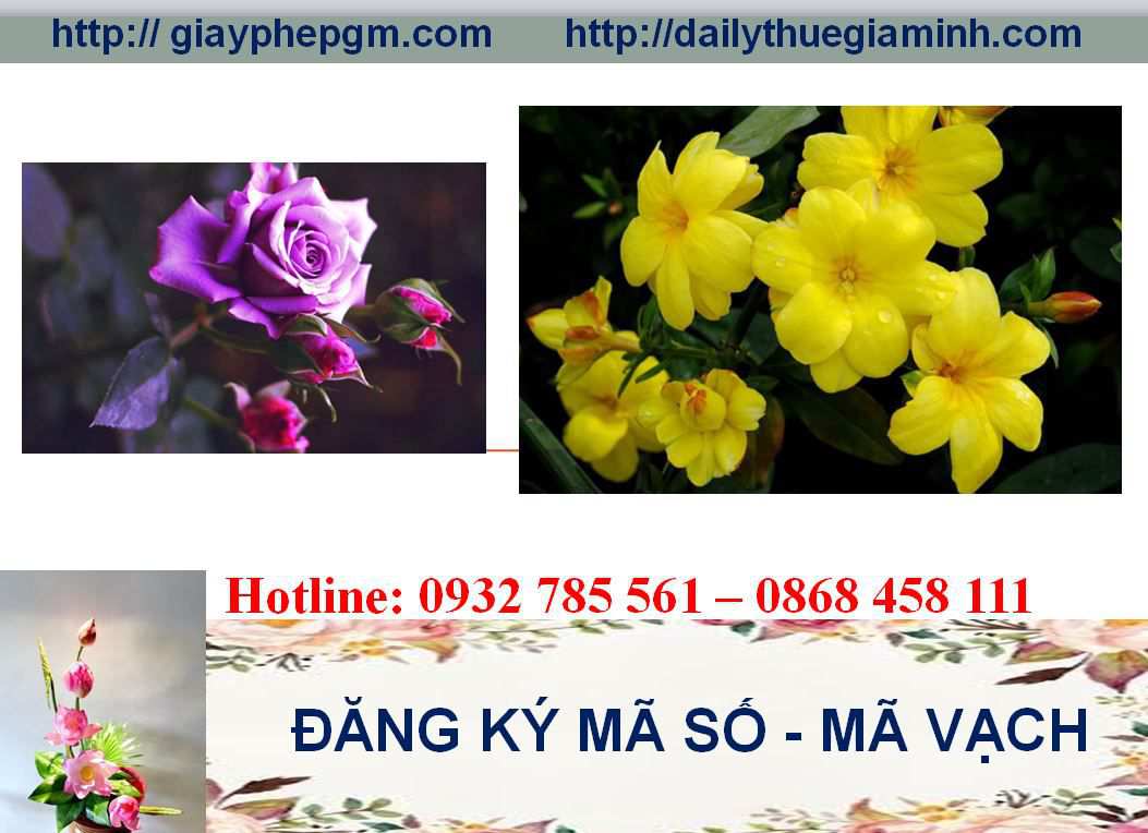 Đăng ký mã vạch tại Lai Châu 5 Thủ tục đăng ký mã vạch