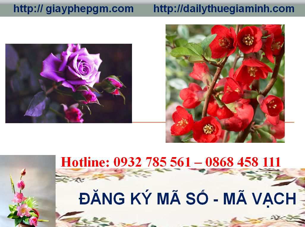 Đăng ký mã vạch tại Lào Cai 5 Thủ tục đăng ký mã vạch