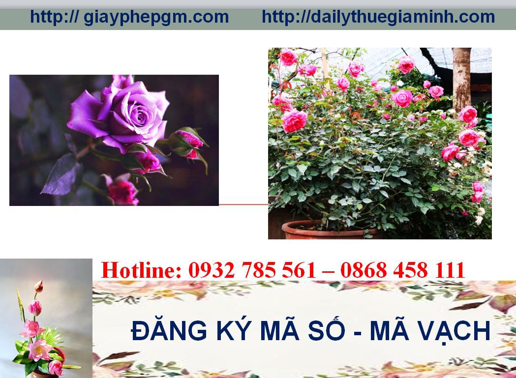 Đăng ký mã vạch tại Nam Định 8 Thủ tục đăng ký mã vạch