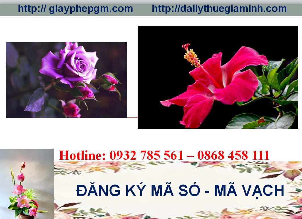 Đăng ký mã vạch tại Ninh Bình 5 thủ tục đăng ký mã vạch tại ninh bình