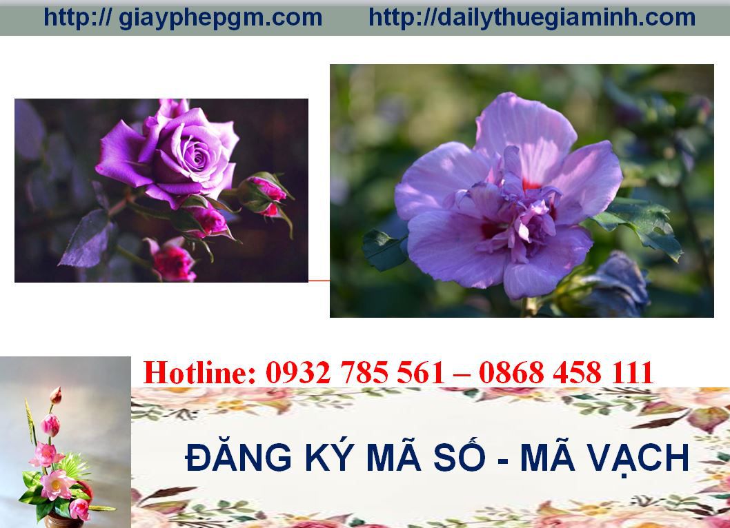 Đăng ký mã vạch tại Phú Yên 5 Thủ tục đăng ký mã vạch