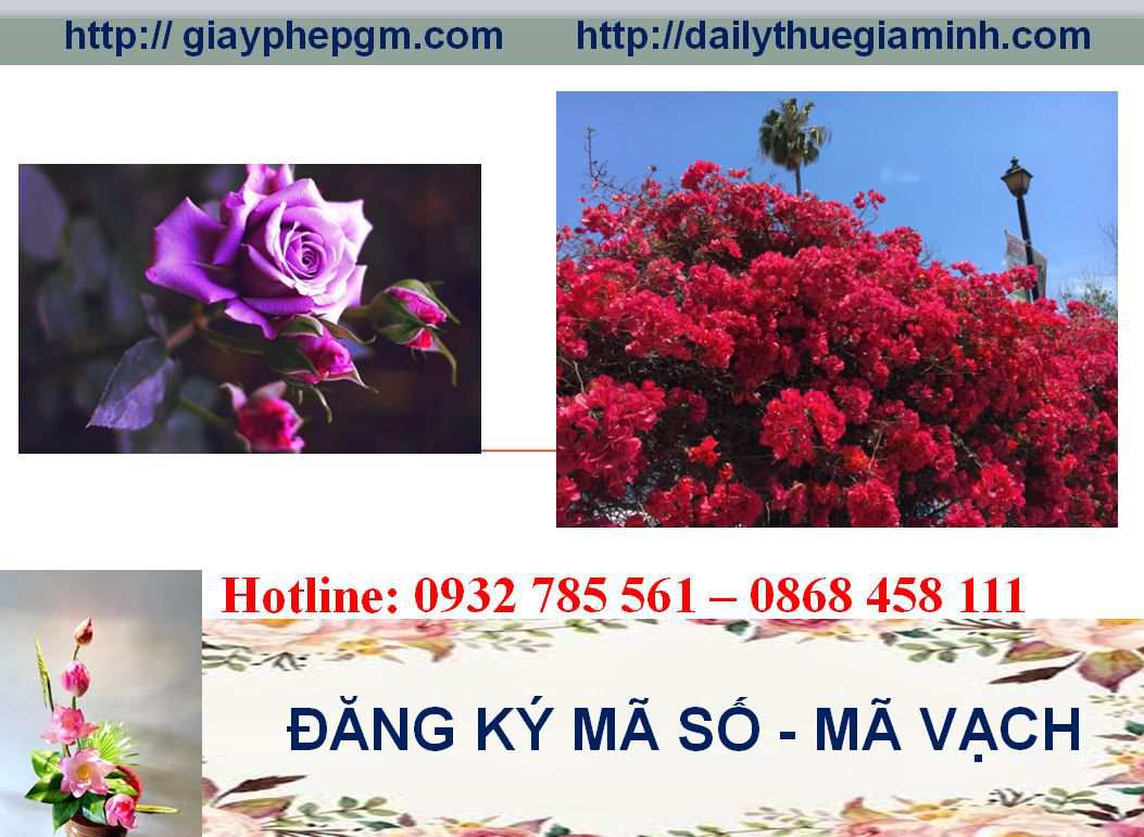 Đăng ký mã vạch tại Quảng Ninh 8 thủ tục đăng ký mã vạch tại quảng ninh