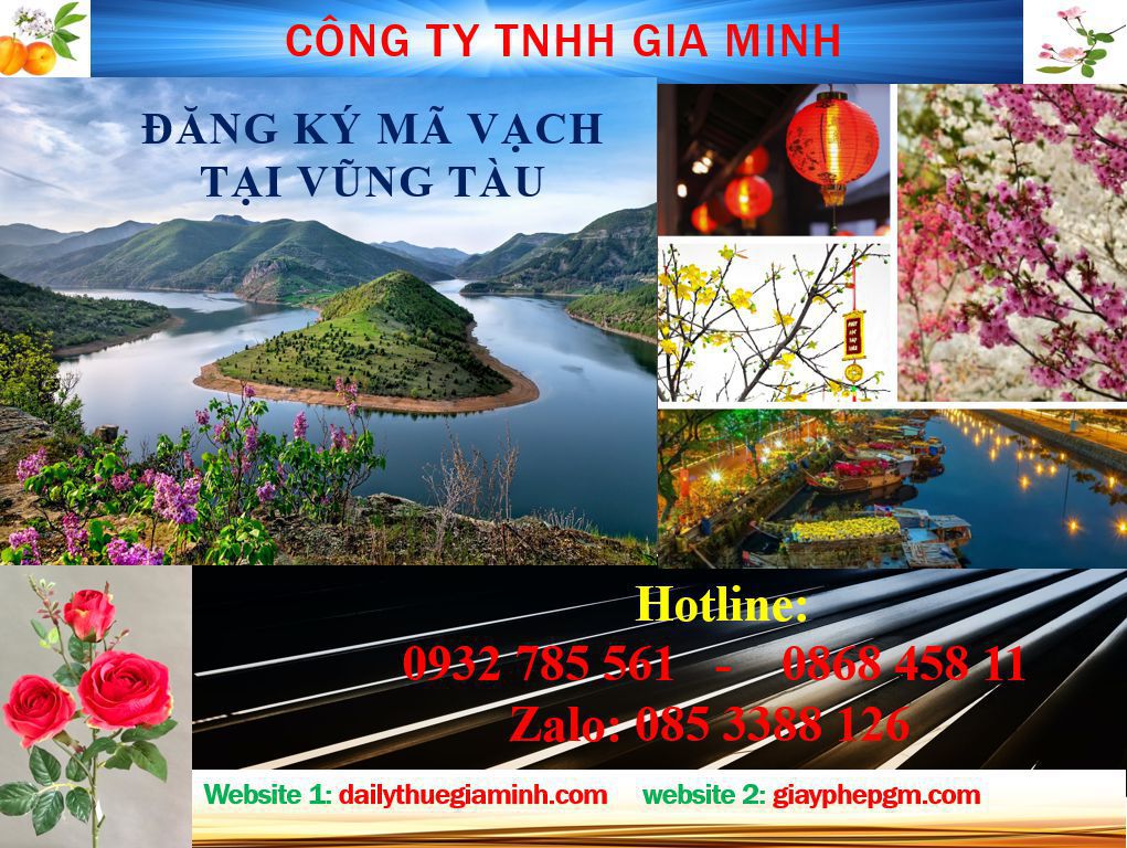 Đăng ký mã vạch tại Vũng Tàu 5 Thủ tục đăng ký mã vạch