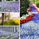 Thủ tục giải thể doanh nghiệp tại Hải Dương 14 Cần giải thể doanh nghiệp tại Hải Dương