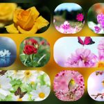 Thủ tục giải thể doanh nghiệp Lào Cai 6 Cần giải thể doanh nghiệp tại Lào Cai