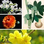 Thủ tục giải thể doanh nghiệp tại Thành Phố Hồ Chí Minh 6 Cần giải thể doanh nghiệp tại Thành Phố Hồ Chí Minh