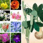 Thủ tục giải thể doanh nghiệp tại TPHCM 3 Cần giải thể doanh nghiệp tại TPHCM