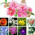 Thủ tục giải thể doanh nghiệp tại Vĩnh Phúc 6 Cần giải thể doanh nghiệp tại Vĩnh Phúc
