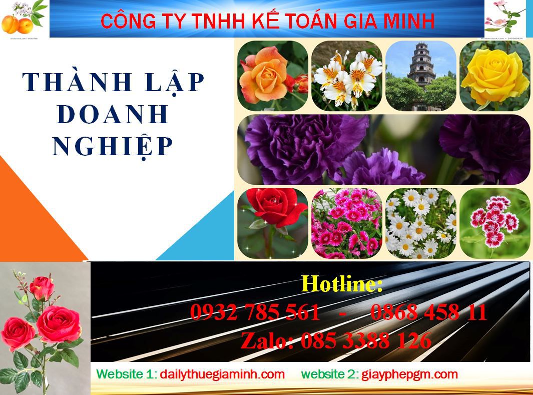 Dịch vụ mở công ty ở Bến Tre 4 Thủ tục mở công ty ở Bến Tre
