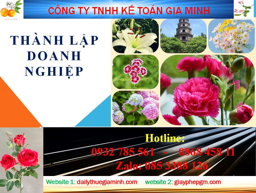 Dịch vụ mở công ty ở Hải Phòng 4 Thủ tục mở công ty ở Hải Phòng