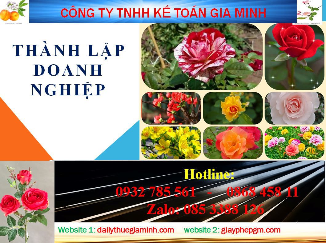 Dịch vụ mở công ty ở Hòa Bình 4 Thủ tục mở công ty ở Hòa Bình