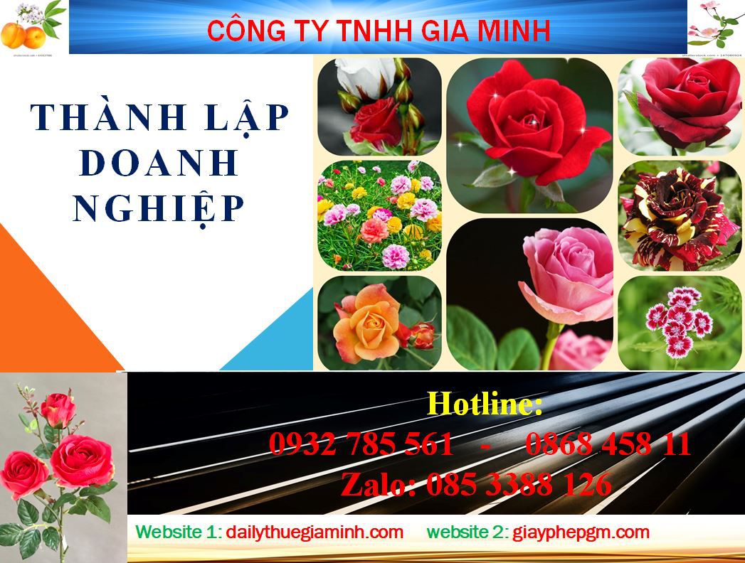 Dịch vụ mở công ty ở Huyện Củ Chi 4 Thủ tục mở công ty ở Huyện Củ Chi