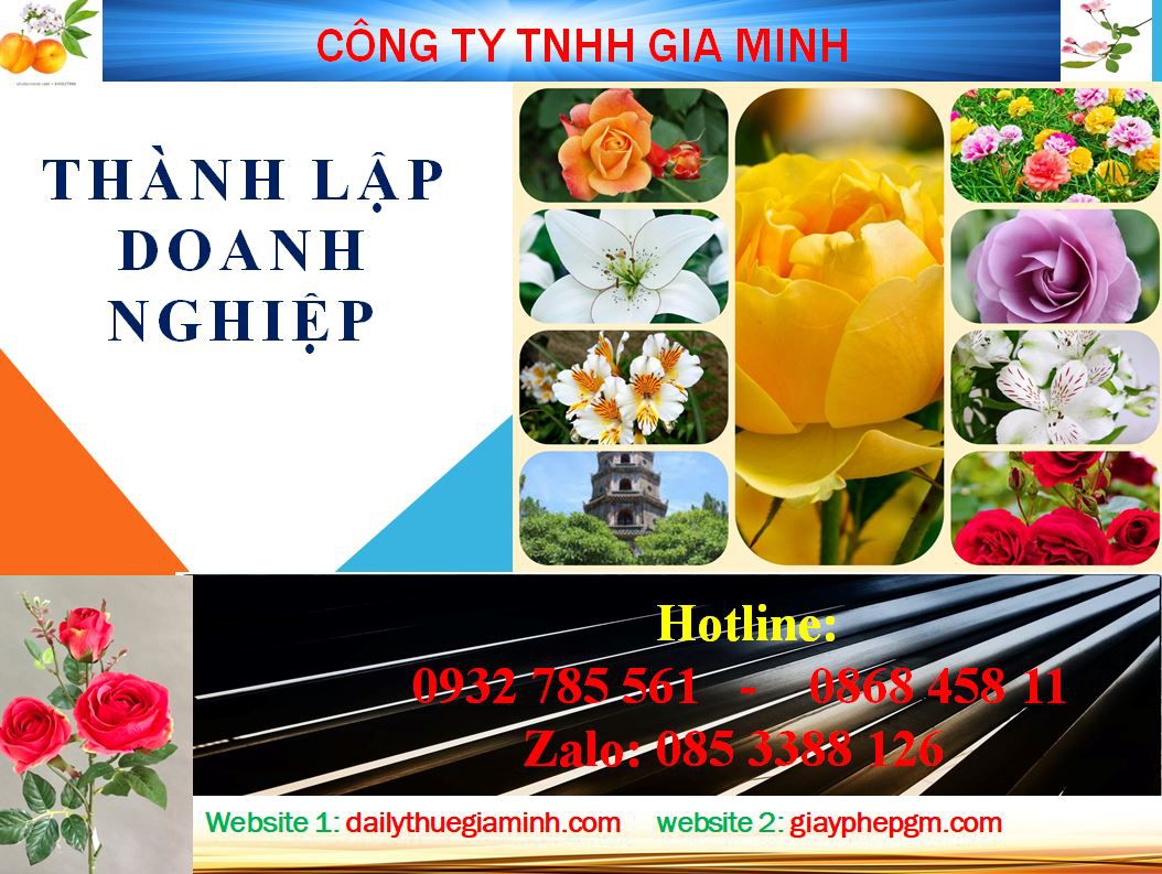 Dịch vụ mở công ty ở Quận 3 4 Thủ tục mở công ty ở Quận 3