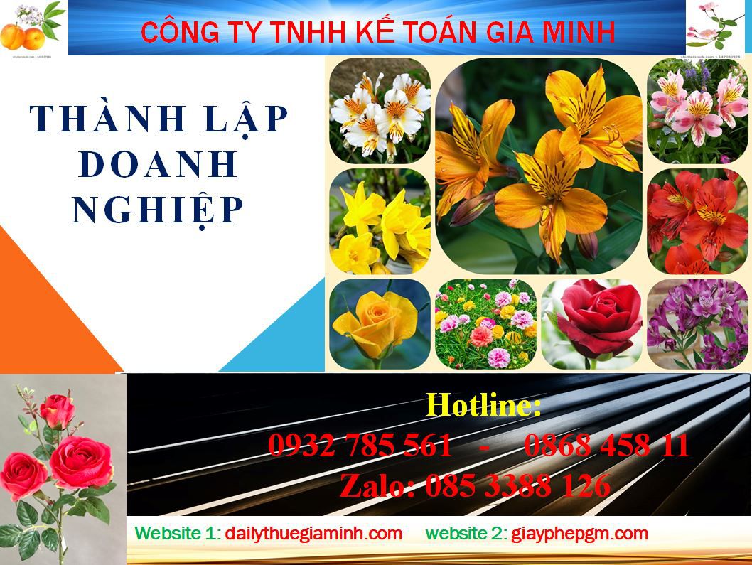 Dịch vụ mở công ty ở Thành phố Hồ Chí Minh 4 Thủ tục mở công ty ở Thành phố Hồ Chí Minh