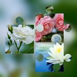 Thành lập công ty trọn gói ở Đắc Nông