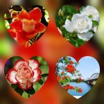 giayphepgm.com thu tuc thanh lap cong ty o hung yen 2