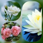 Mở công ty trọn gói ở Lạng Sơn 6 Cần mở công ty trọn gói