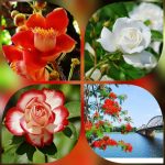 Mở công ty trọn gói ở Thái Bình 6 Thủ tục trọn gói thành lập doanh nghiệp tại Thái Bình