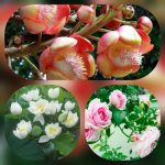 Mở công ty trọn gói ở TPHCM 6 Thủ tục trọn gói thành lập doanh nghiệp tại TPHCM