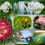 Mở công ty trọn gói ở Vũng Tàu 6 Thành lập công ty trọn gói ở Vũng Tàu