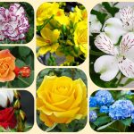 Dịch vụ mở công ty ở Bắc Giang 6 Xin mở công ty ở Bắc Giang