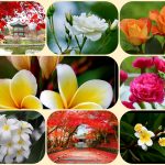 Dịch vụ mở công ty ở Bắc Kạn 6 Xin mở công ty ở Bắc Kạn