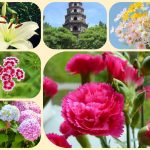Dịch vụ mở công ty ở Bến Tre 6 Xin mở công ty ở Bến Tre