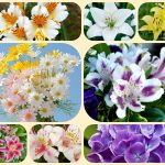 Dịch vụ mở công ty ở Cần Thơ 16 Xin mở công ty ở Cần Thơ