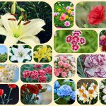 Dịch vụ mở công ty ở Đà Nẵng 6 Xin mở công ty ở Đà Nẵng
